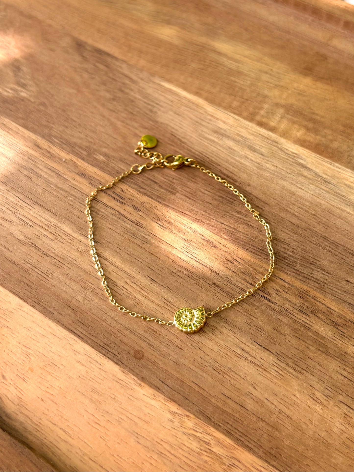 Bracelet Coquillage Minimaliste