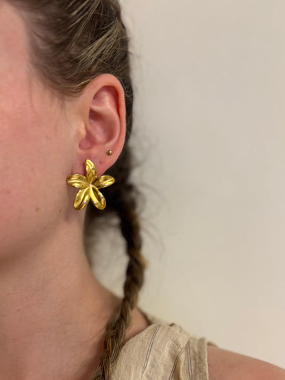 Boucles d'Oreilles Fleurs Monoï