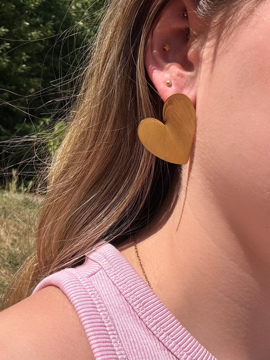 Boucles d’Oreilles Cœurs Brossés